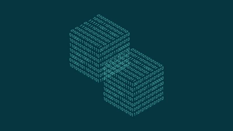 鹿城区信创改造：网络应用开发流程标准化的核心路径与实践
